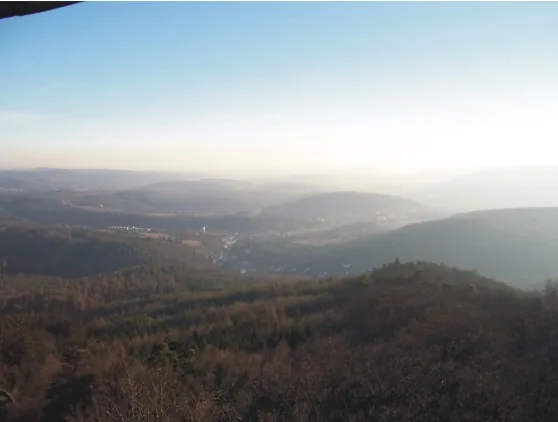 Zalesněná krajina v oparu